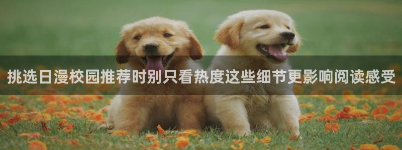 梦漫漫画应用大全